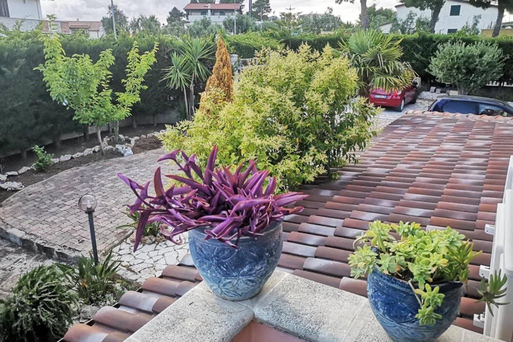 Villa Arenella ヴィエステ エクステリア 写真