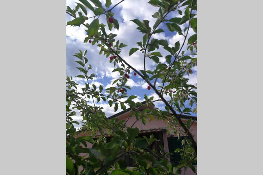 Villa Arenella ヴィエステ エクステリア 写真