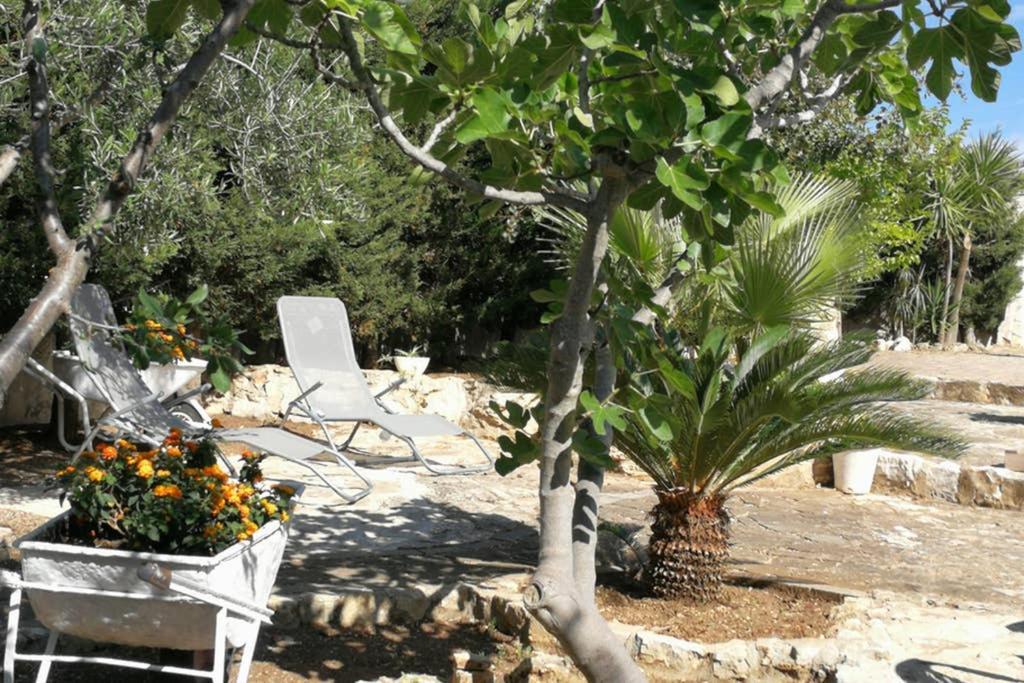 Villa Arenella ヴィエステ エクステリア 写真